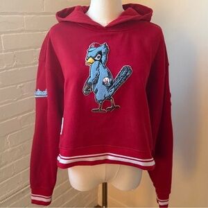Pro Standard
St Louis Cardinal's Officially Licensed Red Pullover Hoodie.